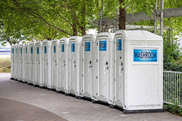 Best Luxury portable toilet rental  in Greenwood, DE